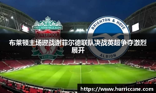 布莱顿主场迎战谢菲尔德联队决战英超争夺激烈展开